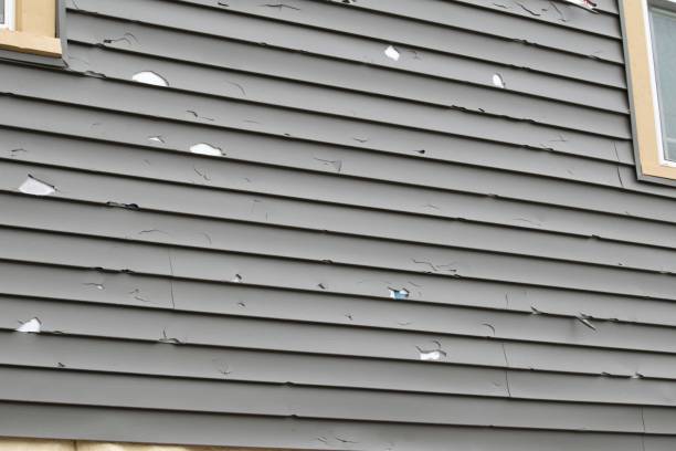Best Construction Debris Removal  in Bourbon, MO